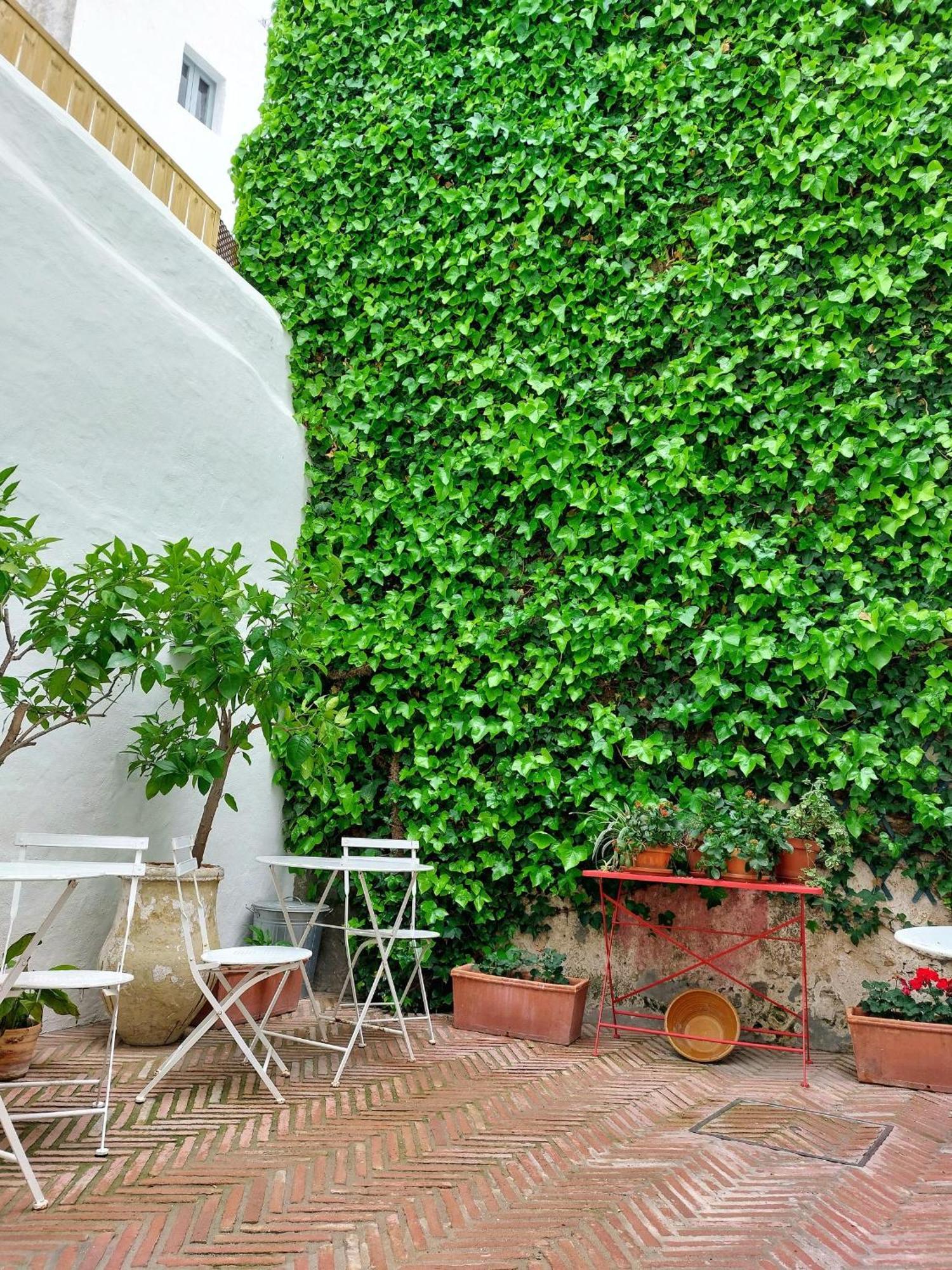 Hotel Casa Shelly Hospederia Vejer de la Frontera Esterno foto